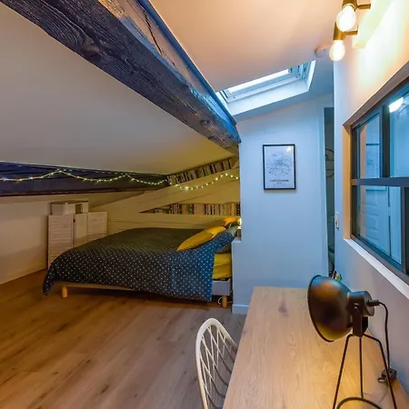 公寓 Romantique Duplex Au Pied De La Cite *